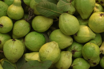 Close-up photo of guavas in market. Fruits background. Texture green guava.,fresh guava background