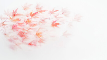 Fototapeta premium Delicate Autumn Hues: A delicate cluster of blush-pink maple leaves, artfully arranged on a white background, evokes a soft and ethereal atmosphere.