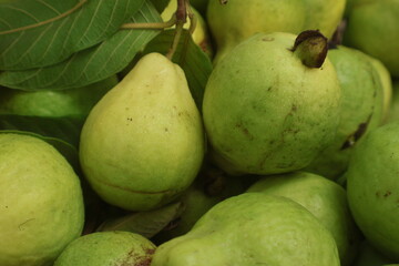 guava in the market