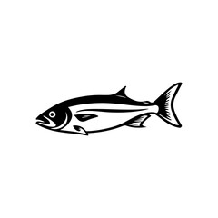 Fish Illustration