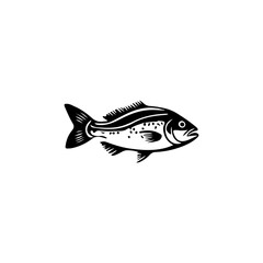 Fish Illustration