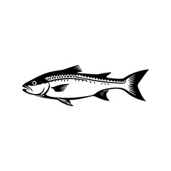 Fish Illustration in Black and White