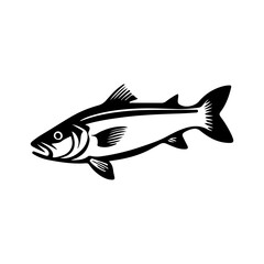 Fish Illustration