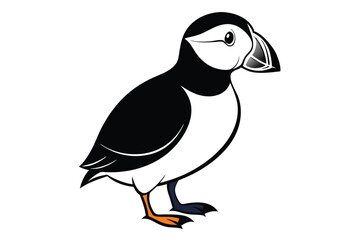 Atlantic Puffin silhouette color white background C.eps