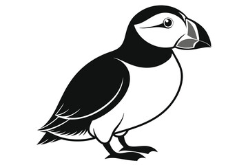 Atlantic Puffin silhouette color white background D.eps