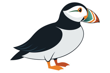 Atlantic Puffin silhouette color white background F.eps