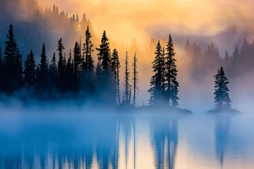 Plexiglas schilderij Mistig bos A serene misty morning blankets the lake, unveiling soft fog and silhouetted trees, creating a captivating scene for photographers and nature lovers.  © ckybe