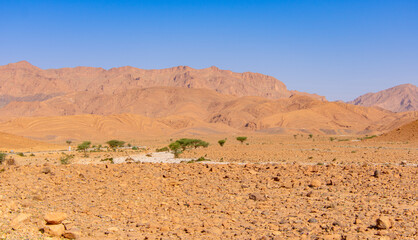 Desert valley in the Moroccan countryside near the Atlas Mountains