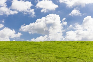 Vibrant green grass stretches under a clear blue sky with fluffy clouds during a sunny afternoon