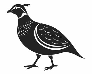 silhouette of Quail vector on white background