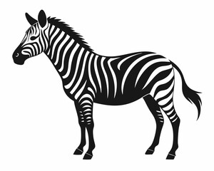 Obraz premium silhouette of Zebra vector animal on white background