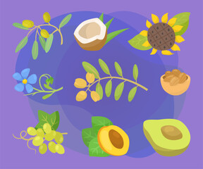 Different cooking oil ingredients vector illustrations set. Collection of drawings of coconut, avocado, apricot, olives, grapes on purple background. Organic food, nutrition, diet concept