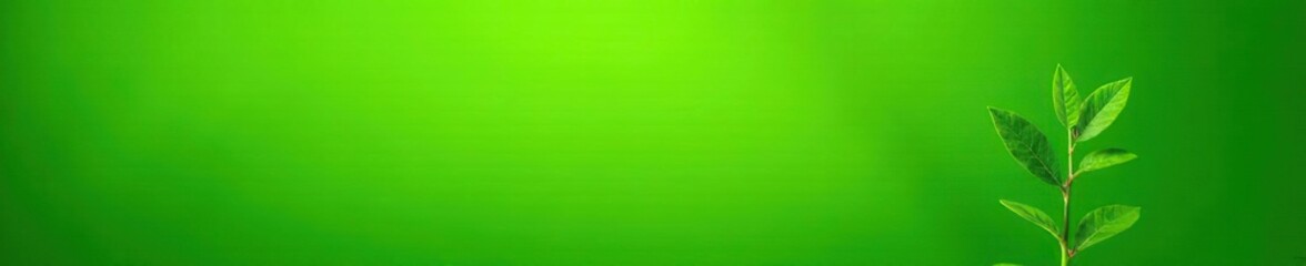 Quassia amara leaves and stems against a bright green background, leaves, quassia amara, green