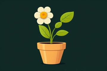 a flower in a pot