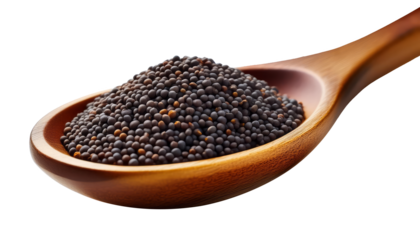 Close-up of Organic Black mustard seed in spoon on transparent background
