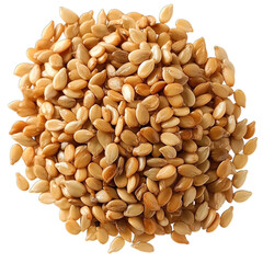 seeds isolated on white