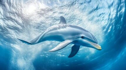 Naklejka premium Dynamic Marine Adventures with Active Creatures in Clear Water