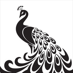Fototapeta premium Majestic Peacock Feather Line Art