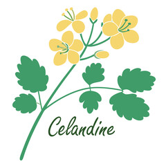 Celandine Head