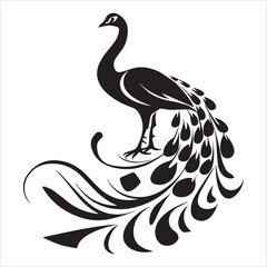 Obraz premium Floral Peacock Black and White Art