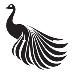 Fototapeta premium Artistic Peacock Head Vector