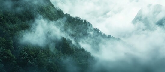 Fototapeta premium Misty mountains of Milford Sound showcasing fog enveloping lush forested hillsides in a breathtaking natural landscape.