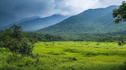 Obraz premium Lush green landscape in a mountainous area under a moody sky with distant hills and vibrant vegetation stretching across the foreground.