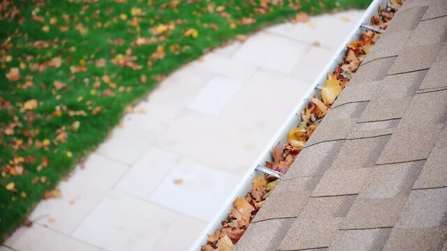 Dirt, debris, fallen leaves from roof gutter drain that has become clogged