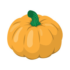 Fresh Autumn Pumpkin Harvest in Rustic Setting