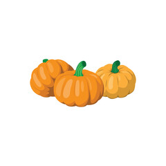 Fresh Autumn Pumpkin Harvest in Rustic Setting
