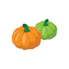 Fresh Autumn Pumpkin Harvest in Rustic Setting