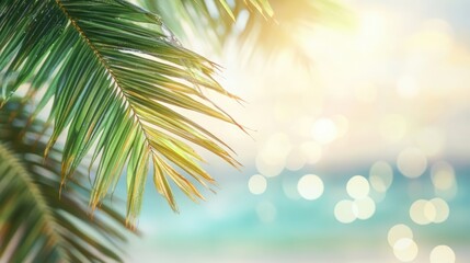 Coconut tree leaf close up with a soft blurry background showcasing tropical ambiance and serene coastal vibes.
