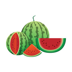 Red Watermelon Freshness Illustrated in Artwork