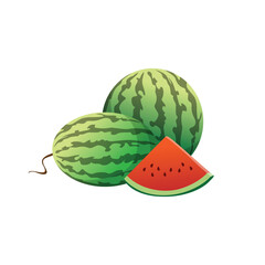 Red Watermelon Freshness Illustrated in Artwork