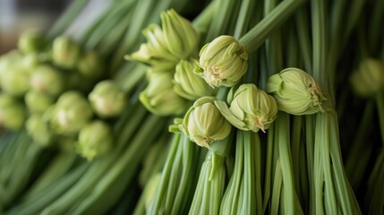 Obraz premium Fresh unopened edible buds showcasing vibrant green stalks, ideal for cooking and pickling in various culinary dishes.