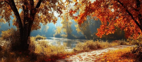 Fototapete Rund Autumn landscape with vibrant foliage by a tranquil river surrounded by nature's beauty and warm sunlight filtering through trees © MetaPixel