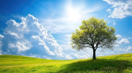 Obraz premium Solitary green tree on lush meadow under a bright blue sky with fluffy white clouds capturing a serene natural landscape scene