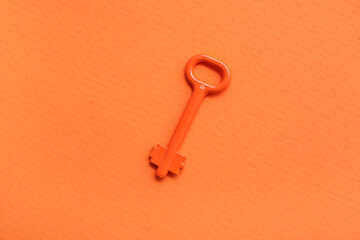 Orange key on color background