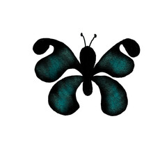 butterfly