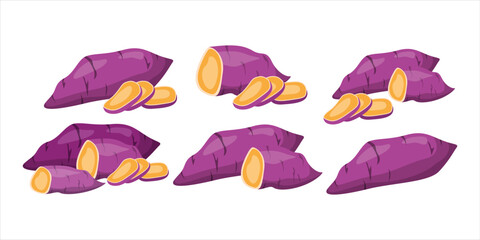 Sweet Potato Vector Illustration for Healthy Food Design