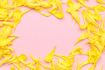 Frame made of yellow chrysanthemum flower petals on pink background