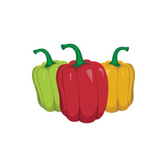 Colorful Vector Illustration of Fresh Bell Peppers