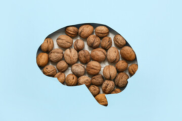 Cut-out blue paper in shape of human brain with walnuts