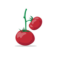 Fresh Tomatoes on Vine in Sunlit Garden