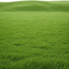 Obraz premium green grassland landscape isolated on white