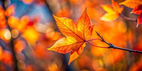 Autumnal Branch with Vibrant Orange Leaves - Portrait Photography Stock Photo
