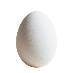 egg isolated on white