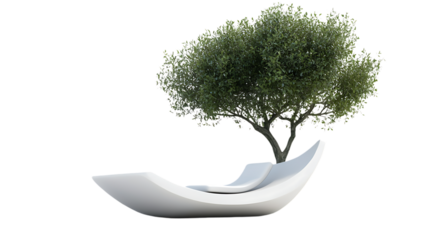 tree isolated on white