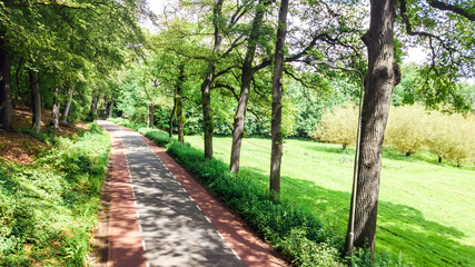 Bicycle lane on road between trees aerial drone view from above, beautiful cycling path for bikes in Netherlands