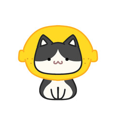 Cute lemon tuxedo cat